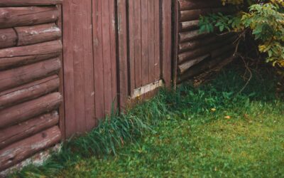 How to Cut Grass Edges Next to a Wall? – Simple DIY Ideas