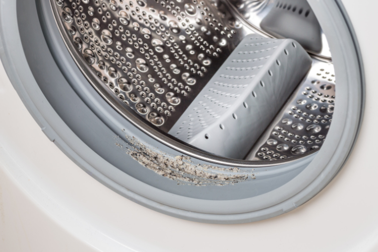 What Causes Mold on the Rubber Seal of Washing Machines