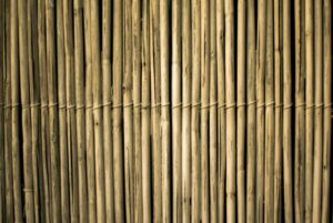 bamboo fence