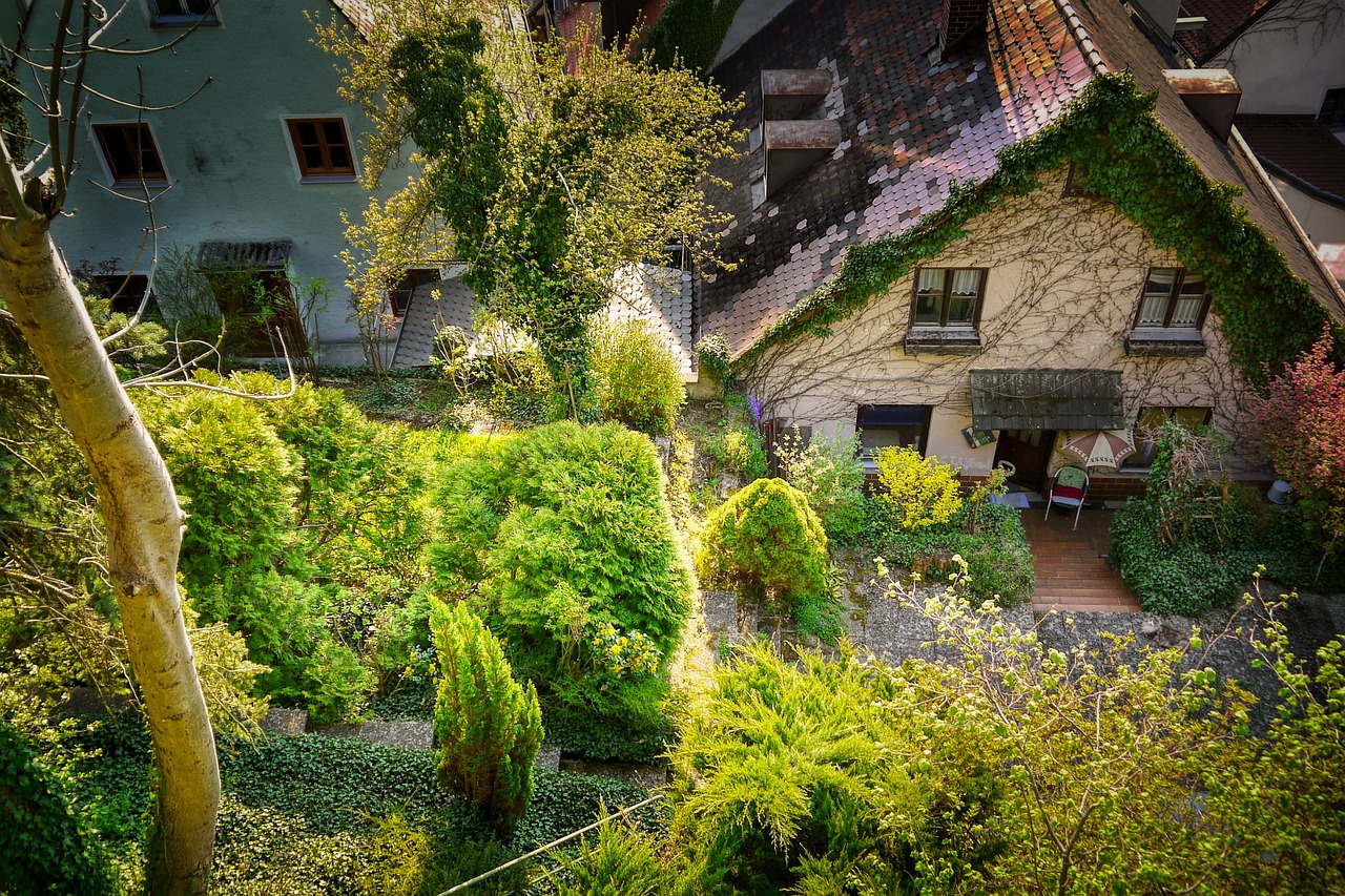 How To Clear An Overgrown Garden Fast?