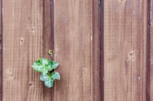 wooden fence