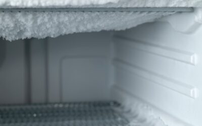 How to Defrost Fridge Freezer Without Turning it Off?