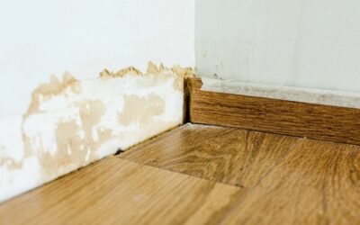 How To Remove Mould From Painted Walls?