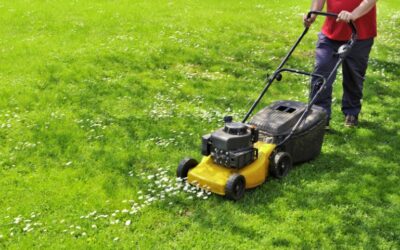 How to Cut Grass with a Lawn Mower?