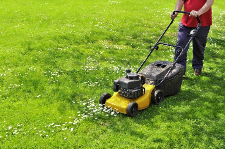 Best Practices for Mowing Wet Grass with an Electric Mower