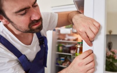 How to Fix Freezer Door Seal?