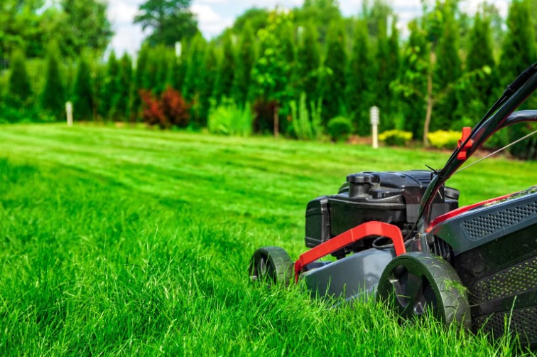 Is It Safe to Cut Wet Grass with an Electric Mower