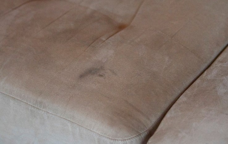 How to Remove Dried Urine Stains from a Couch