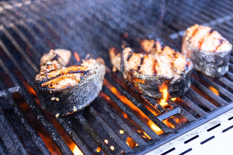 Maintaining Your Gas Grill Grates