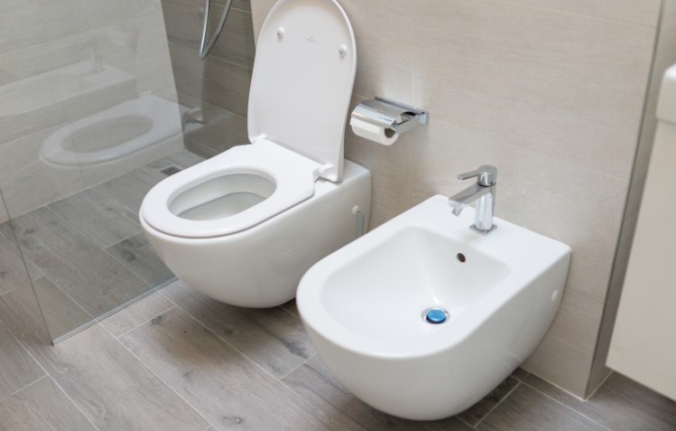 How To Remove Limescale From Toilet Below Waterline