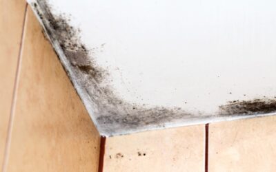 Early Sign Toxic Black Mold On Ceiling – How To Spot & Fix?