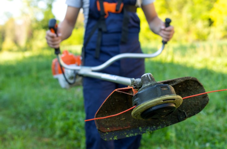 How Often Should I Cut the Grass