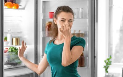 How To Remove Smell From Fridge Naturally? – Smart DIY Ideas