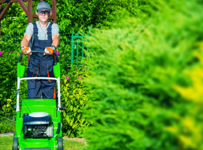 How to Cut Grass