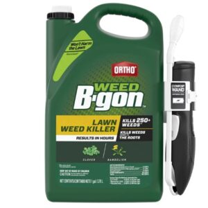 Ortho Weed B Gon Weed Killer for Lawns