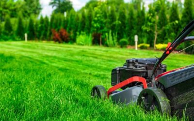 When Is The Legal Time To Mow Your Lawn UK? A Homeowner’s Guide