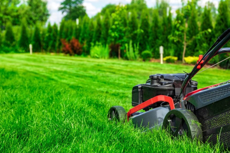 legal time to mow lawn uk