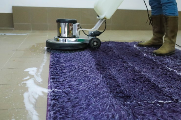 methods to get rid of stagnant water smell in carpets