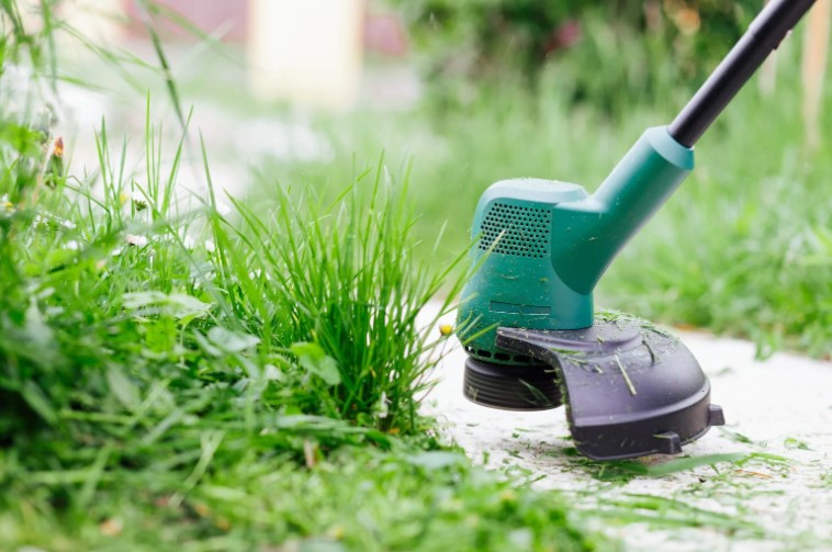 What’s the Best Way to Maintain Your Strimmer After Cutting Wet Grass