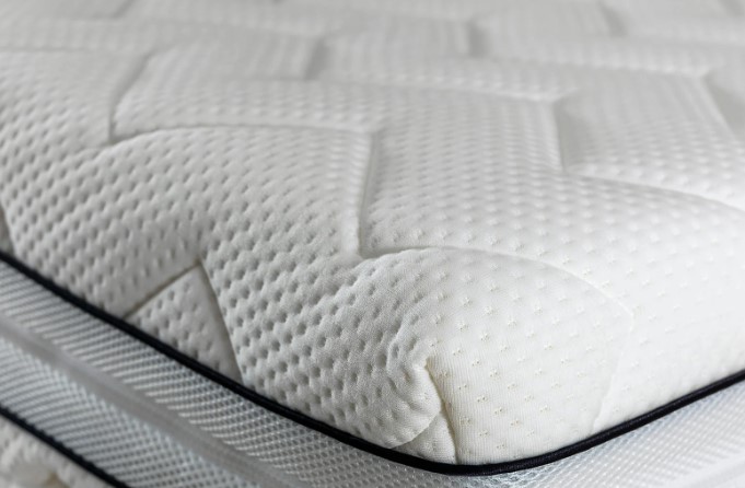 Best DIY Methods to Get Rid of Bed Bugs in a Mattress