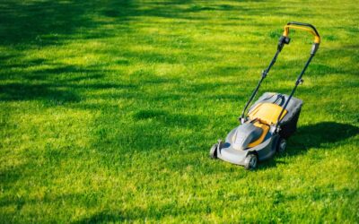 Can You Cut Wet Grass With a Cordless Lawn Mower?