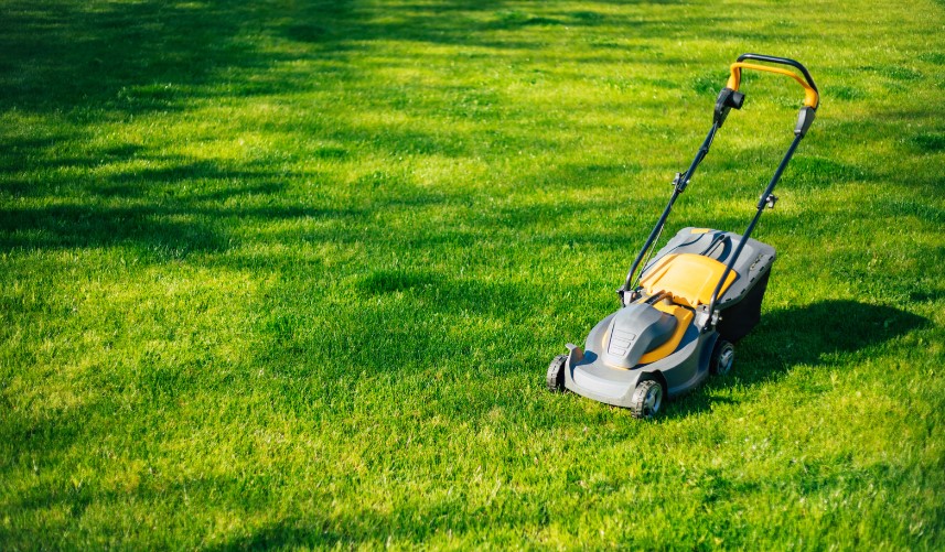 Can You Cut Wet Grass With a Cordless Lawn Mower