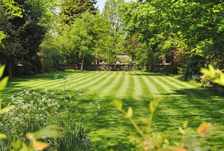 Can You Cut Wet Grass With a Petrol Mower