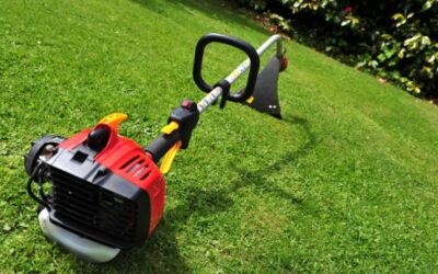 Can You Cut Wet Grass With a Strimmer?