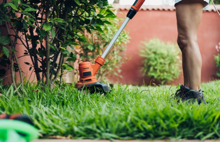 DIY Tips for Cutting Wet Grass