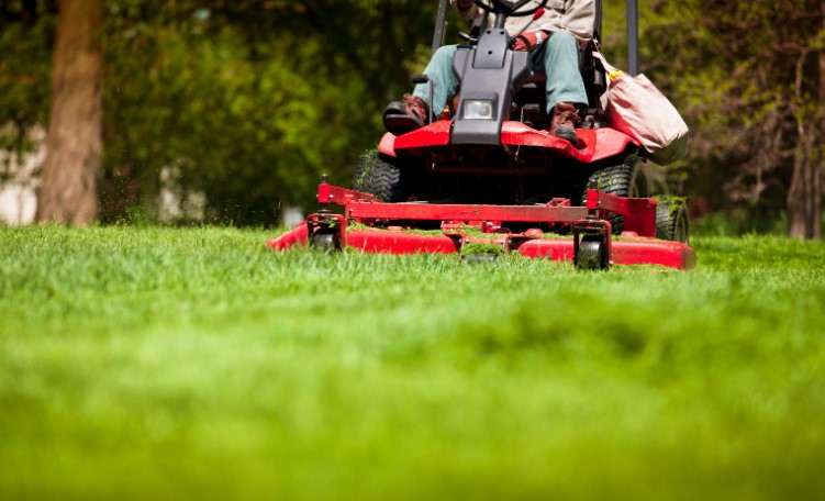 Should You Use a Petrol Mower to Cut Wet Grass