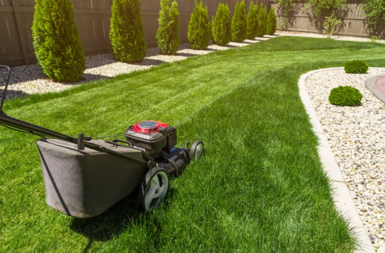 Why is Mowing Wet Grass with a Petrol Mower a Concern