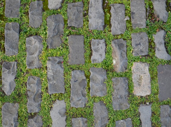 How Can You Prevent Grass from Growing Between Paving Stones