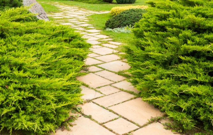 How To Get Rid of Grass Between Paving Stones?