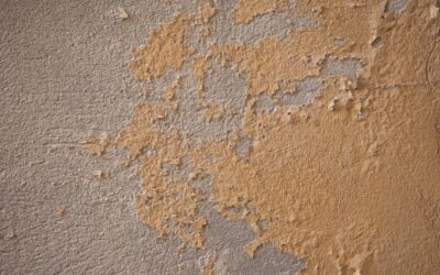 How to Treat Damp Walls Before Painting? – A Complete Guide