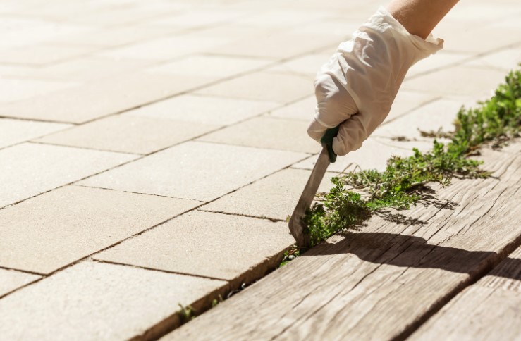 Manual Removal of Grass Between Paving Stones with Basic Tools