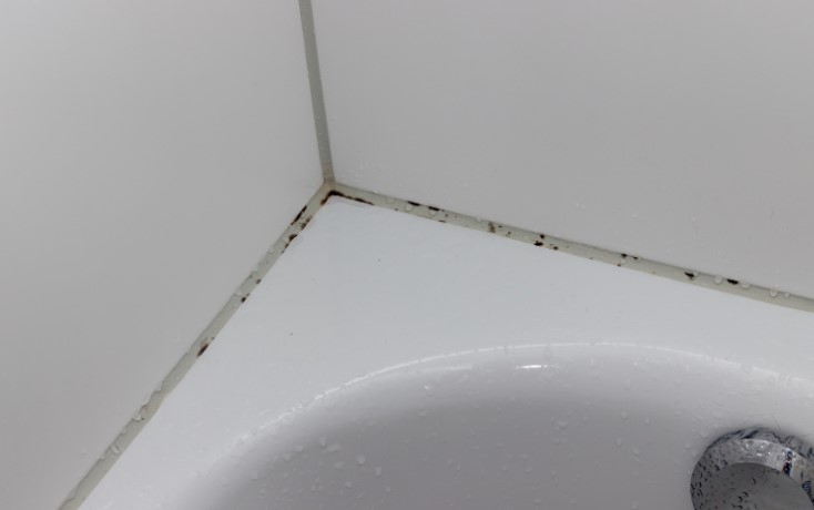 Top 5 Effective Ways on How To Remove Black Mould from Silicone Sealant