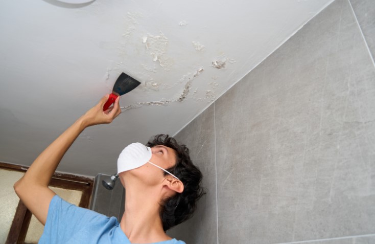 Treating Damp Walls with Anti-Mould and Anti-Fungal Solutions